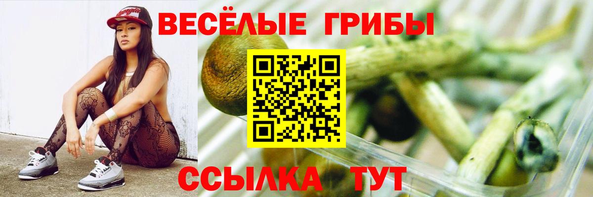 Грязи  Галлюциногенные грибы Psilocybine cubensis  Вход с VPN 